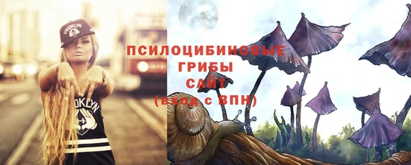 ПСИЛОЦИБИНОВЫЕ ГРИБЫ Абдулино