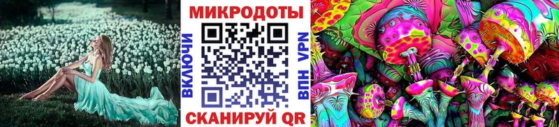 Псилоцибиновые грибы Psilocybine cubensis  Струнино 